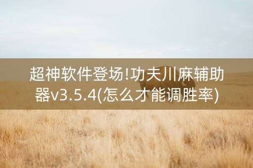 超神软件登场!功夫川麻辅助器v3.5.4(怎么才能调胜率)