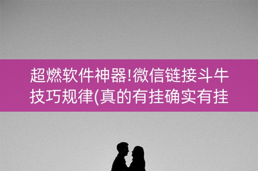 超燃软件神器!微信链接斗牛技巧规律(真的有挂确实有挂)