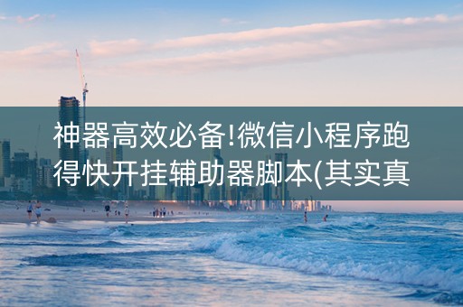 神器高效必备!微信小程序跑得快开挂辅助器脚本(其实真的确实有挂)