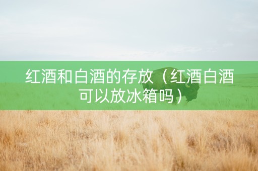 红酒和白酒的存放（红酒白酒可以放冰箱吗）