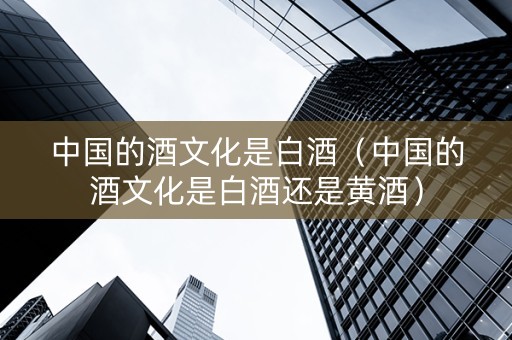 中国的酒文化是白酒（中国的酒文化是白酒还是黄酒）