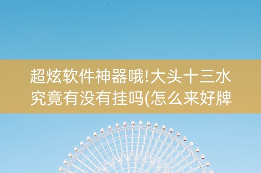 超炫软件神器哦!大头十三水究竟有没有挂吗(怎么来好牌)