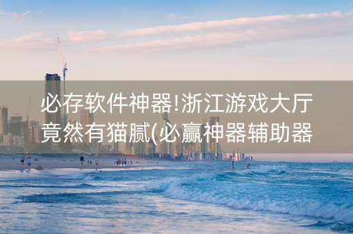 必存软件神器!浙江游戏大厅竟然有猫腻(必赢神器辅助器)