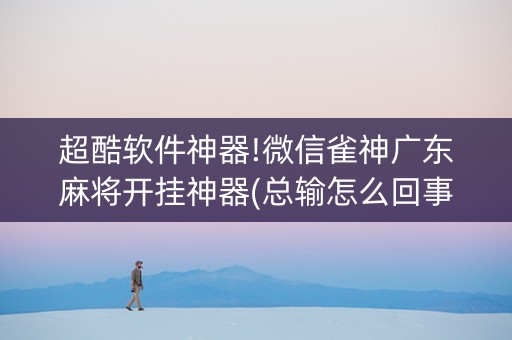 超酷软件神器!微信雀神广东麻将开挂神器(总输怎么回事)