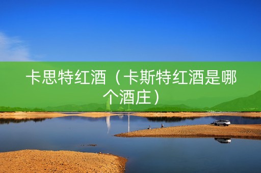 卡思特红酒（卡斯特红酒是哪个酒庄）