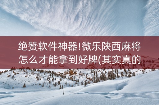 绝赞软件神器!微乐陕西麻将怎么才能拿到好牌(其实真的确实有挂)