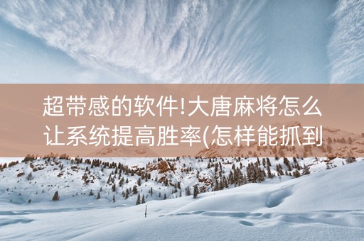 超带感的软件!大唐麻将怎么让系统提高胜率(怎样能抓到好牌)