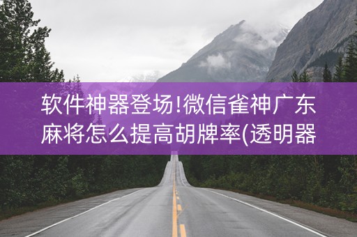 软件神器登场!微信雀神广东麻将怎么提高胡牌率(透明器教程)