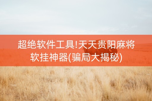 超绝软件工具!天天贵阳麻将软挂神器(骗局大揭秘)
