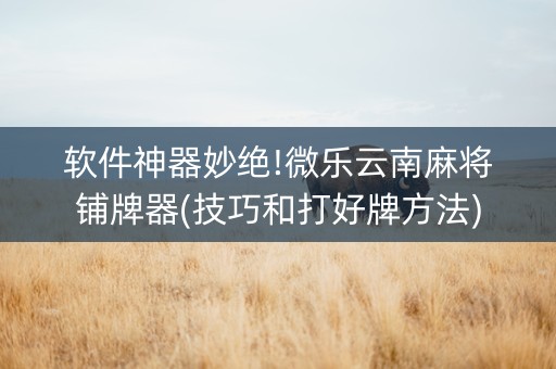软件神器妙绝!微乐云南麻将铺牌器(技巧和打好牌方法)