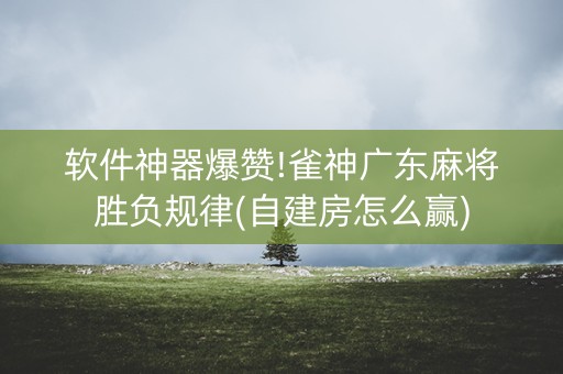 软件神器爆赞!雀神广东麻将胜负规律(自建房怎么赢)