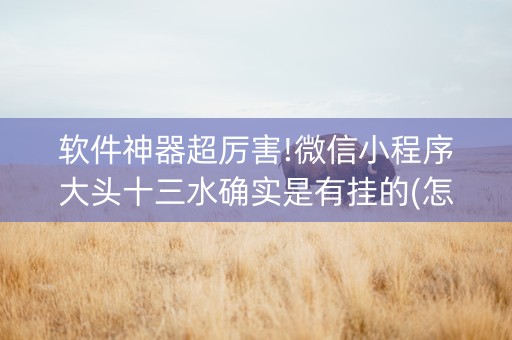 软件神器超厉害!微信小程序大头十三水确实是有挂的(怎么打容易赢)