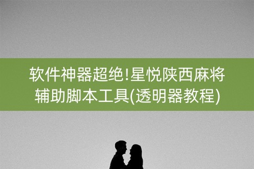 软件神器超绝!星悦陕西麻将辅助脚本工具(透明器教程)