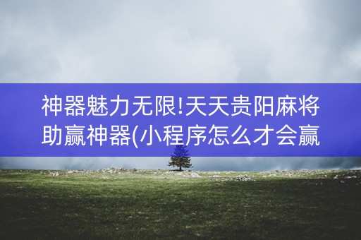 神器魅力无限!天天贵阳麻将助赢神器(小程序怎么才会赢)