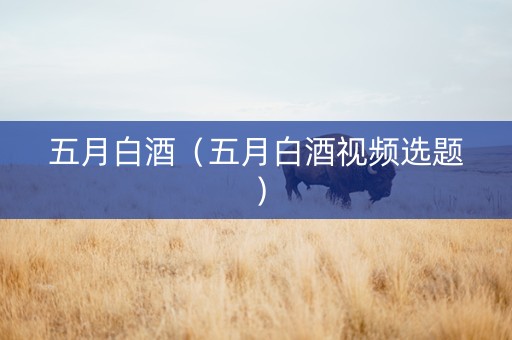 五月白酒（五月白酒视频选题）