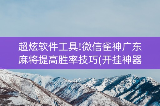 超炫软件工具!微信雀神广东麻将提高胜率技巧(开挂神器下载)