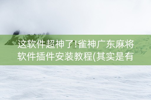 这软件超神了!雀神广东麻将软件插件安装教程(其实是有挂确实有挂)