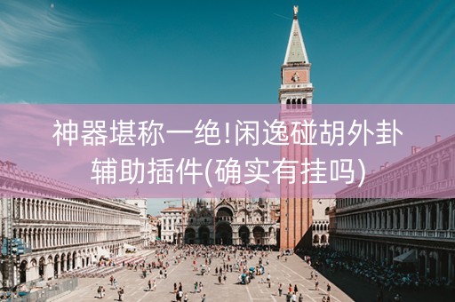 神器堪称一绝!闲逸碰胡外卦辅助插件(确实有挂吗)