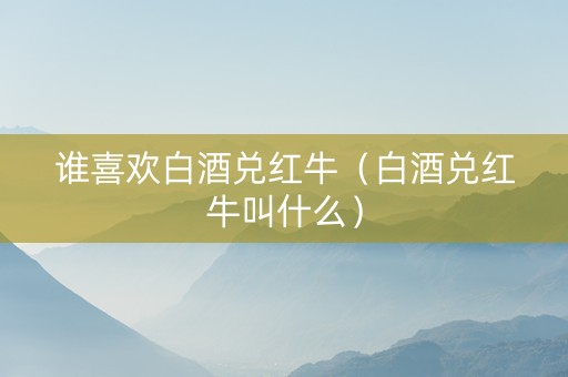 谁喜欢白酒兑红牛（白酒兑红牛叫什么）