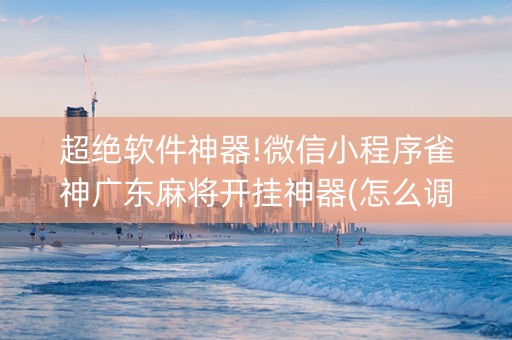 超绝软件神器!微信小程序雀神广东麻将开挂神器(怎么调整胜率)