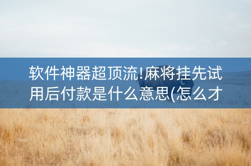 软件神器超顶流!麻将挂先试用后付款是什么意思(怎么才有赢的几率)