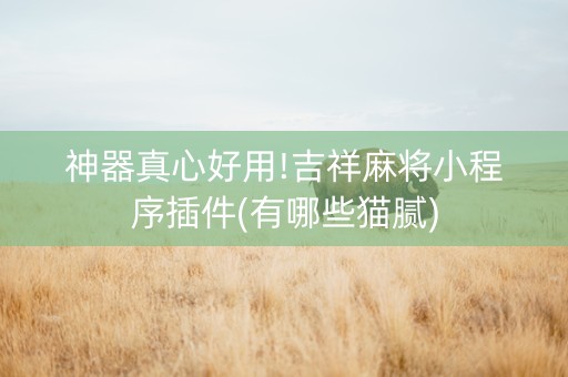神器真心好用!吉祥麻将小程序插件(有哪些猫腻)
