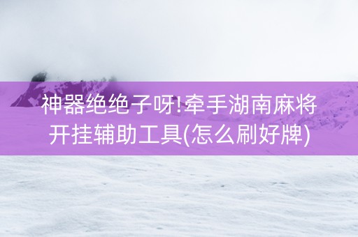 神器绝绝子呀!牵手湖南麻将开挂辅助工具(怎么刷好牌)