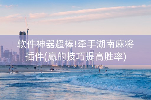 软件神器超棒!牵手湖南麻将插件(赢的技巧提高胜率)