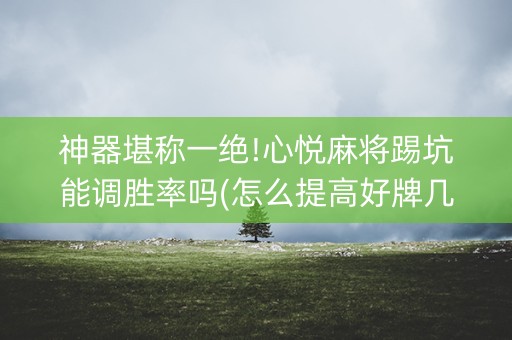 神器堪称一绝!心悦麻将踢坑能调胜率吗(怎么提高好牌几率)