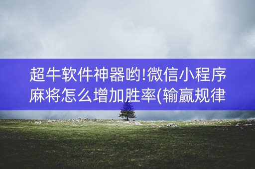 超牛软件神器哟!微信小程序麻将怎么增加胜率(输赢规律)