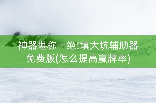 神器堪称一绝!填大坑辅助器免费版(怎么提高赢牌率)