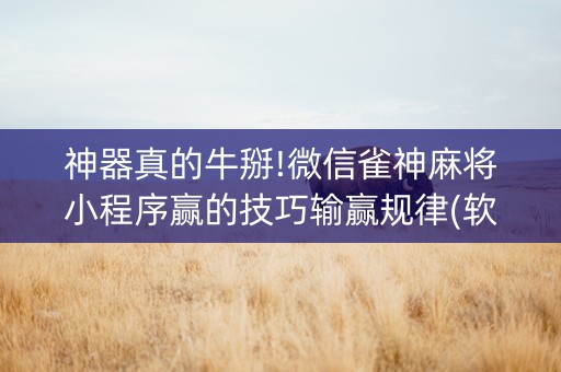 神器真的牛掰!微信雀神麻将小程序赢的技巧输赢规律(软挂神器)