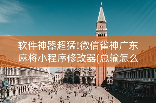 软件神器超猛!微信雀神广东麻将小程序修改器(总输怎么回事)