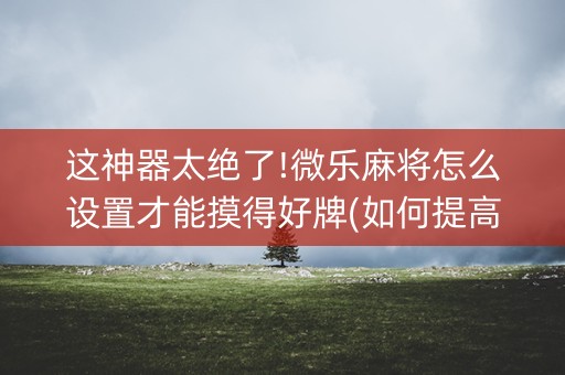 这神器太绝了!微乐麻将怎么设置才能摸得好牌(如何提高好牌几率)