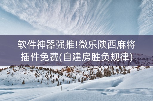 软件神器强推!微乐陕西麻将插件免费(自建房胜负规律)