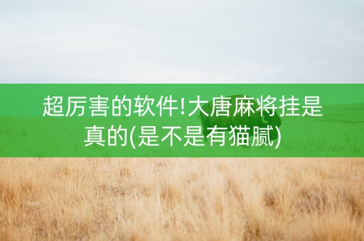 超厉害的软件!大唐麻将挂是真的(是不是有猫腻)