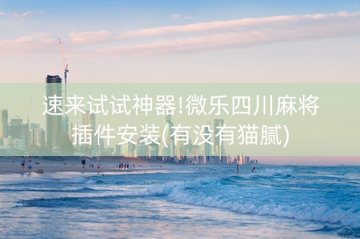 速来试试神器!微乐四川麻将插件安装(有没有猫腻)