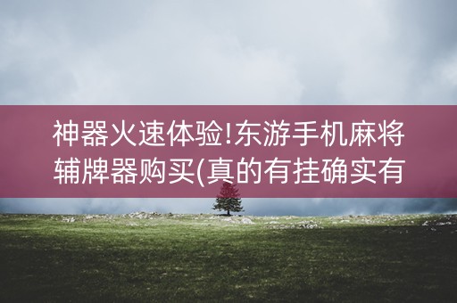 神器火速体验!东游手机麻将辅牌器购买(真的有挂确实有挂)