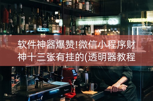 软件神器爆赞!微信小程序财神十三张有挂的(透明器教程)
