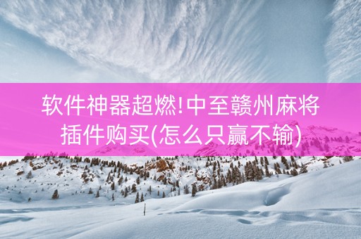 软件神器超燃!中至赣州麻将插件购买(怎么只赢不输)