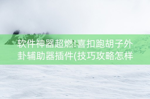 软件神器超燃!喜扣跑胡子外卦辅助器插件(技巧攻略怎样拿好牌)