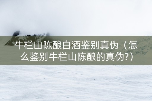 牛栏山陈酿白酒鉴别真伪（怎么鉴别牛栏山陈酿的真伪?）