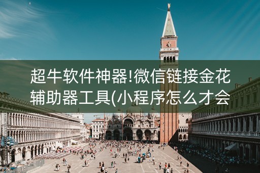 超牛软件神器!微信链接金花辅助器工具(小程序怎么才会赢)