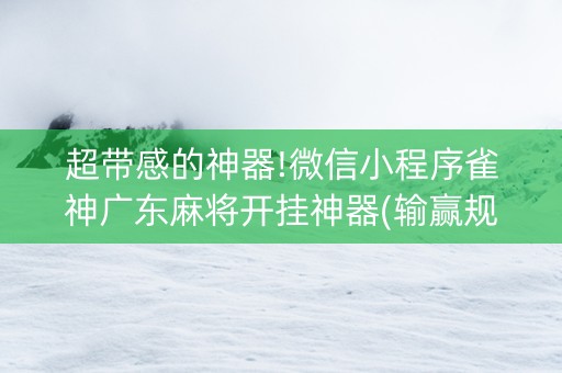超带感的神器!微信小程序雀神广东麻将开挂神器(输赢规律技巧)