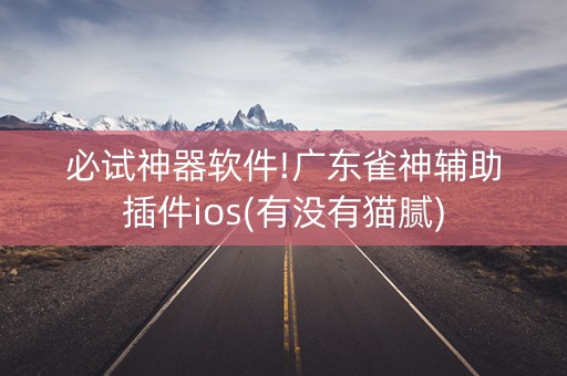 必试神器软件!广东雀神辅助插件ios(有没有猫腻)