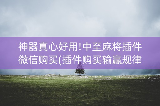 神器真心好用!中至麻将插件微信购买(插件购买输赢规律)