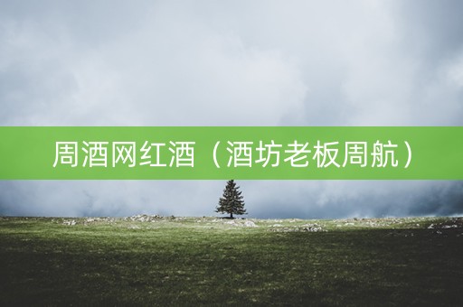 周酒网红酒（酒坊老板周航）