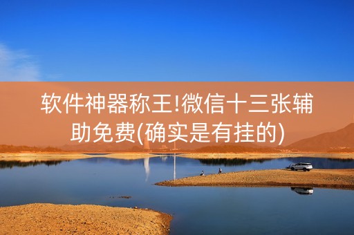 软件神器称王!微信十三张辅助免费(确实是有挂的)