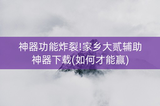 神器功能炸裂!家乡大贰辅助神器下载(如何才能赢)
