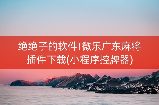 绝绝子的软件!微乐广东麻将插件下载(小程序控牌器)